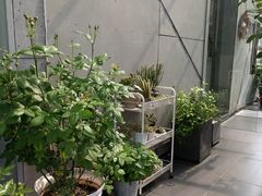 -边渡咖啡烘焙店(昙华林店)