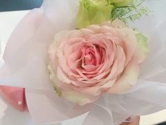 -双风车咖啡馆 Twin Windmills(六道口店)