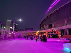 -沈阳奥体冰雪嘉年华