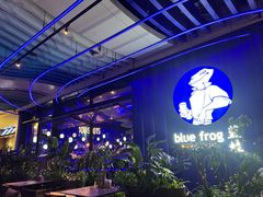 -bluefrog蓝蛙(皇庭广场店)