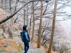 -崂山巨峰游览区
