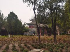 -洛阳白马寺