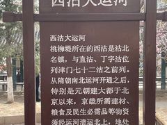 -桃花堤公园