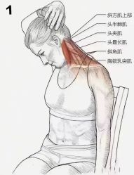 -涌泉妈咪树通乳·产后恢复