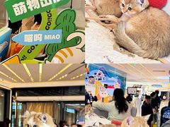 -阳光天地