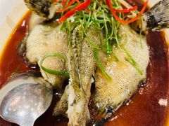 -金米箩大酒店(五角场店)
