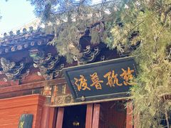 -洛阳白马寺