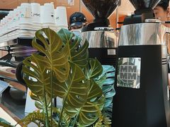 -Seesaw Coffee(上海虹桥天地店)