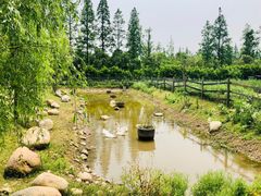 -前小桔亲子创意农场·草莓采摘·露营烧烤