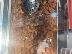 -乔波食品(杜桥中心菜场店)