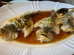 -荷风细雨·中国茶宴(碧云店)