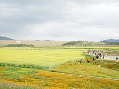-光明小镇欢乐田园