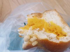 -蒲公英(五里店)