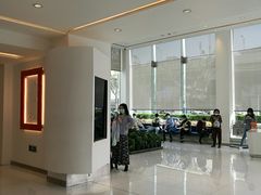 -同济大学附属口腔医院