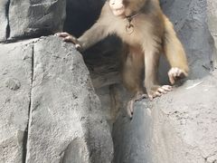 -石燕湖生态旅游景区