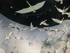 -中国湿地博物馆