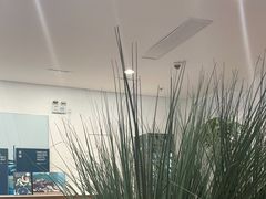 -上海永达捷豹路虎4S旗舰店