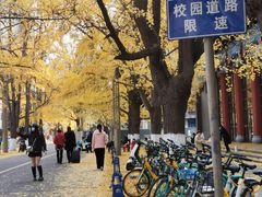 -四川大学(华西校区)