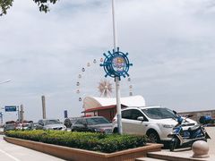 -奉贤海滩