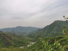 -大岭沟猕猴桃谷风景区