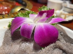 -黄家码头老火锅(解放碑旗舰店)