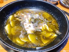 黄辣丁鲜鱼锅-小小河边鱼(天润城店)