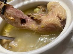 白果炖鸡-金三角罗鸡肉(上兴街店)