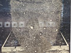 -贵阳龙洞堡国际机场-T2航站楼