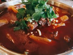 萝卜烧牛腩-钦善斋(武侯祠店)