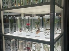 -北京中医药大学-中医药博物馆