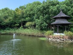 -天目湖山水园