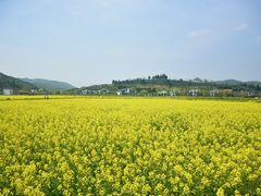 -南北湖风景区