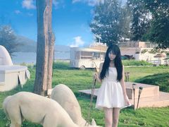 -花海间·即刻露营