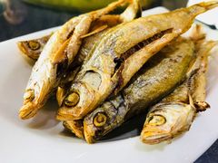 船家咸鱼-洪泽湖湾