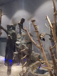 -未来动物城动物主题公园(大悦城店)