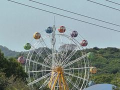 -水濂山森林公园