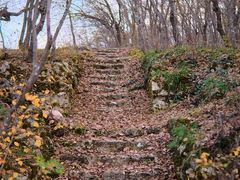 -维乐口腔医院(福清院)