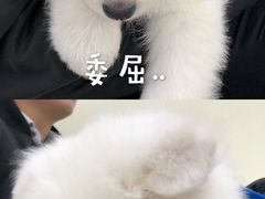 -美联众合动物医院·24h京西诊疗中心