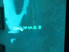 -十二宫Zodiac全息剧本杀推理馆(大世界店)