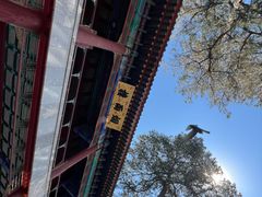 -承德避暑山庄景区