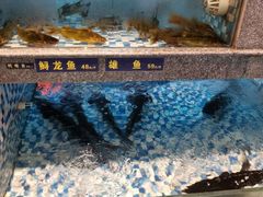 -格塘人家·山泉水煮鱼(望兴家园店)
