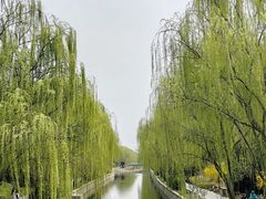 -元大都城垣遗址公园