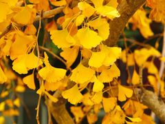 -上海交通大学(闵行校区)