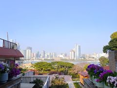 -八卦楼风琴博物馆
