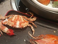 -乔哥铭洋海鲜自助(皇城恒隆广场店)