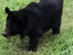 -宿豫区运河湾森林动物园