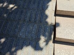 -燕儿岛山公园