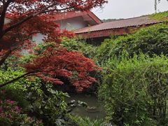 -中国茶叶博物馆(双峰馆区)