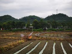 -红山村