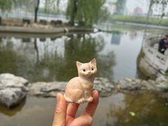 -莲花池公园